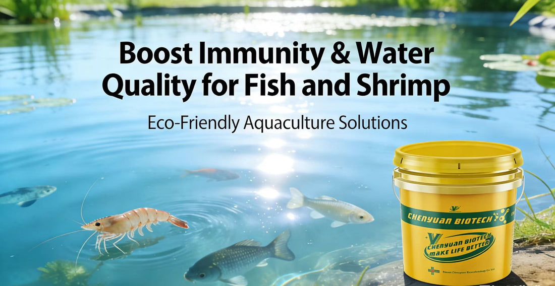 Pond Protect-C in Aquaculture: Enhancing Immunity in Fish and Shrimp