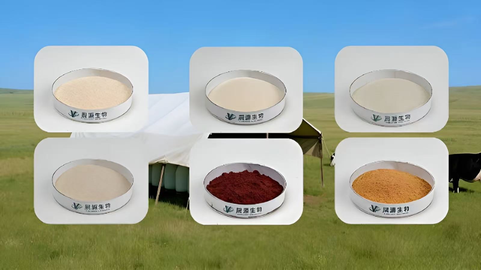 Feed Additives Raw Material