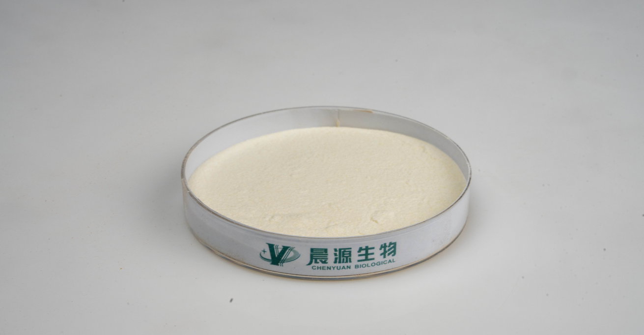Lactobacillus Plantarum