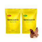 SynoLayer for laying hen