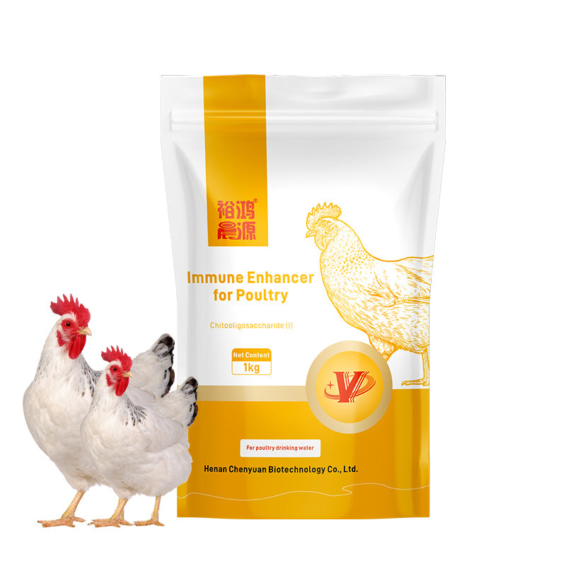 Immune Enhancer for Poutry-Boosting Immune System Maturation and Feed Utilization for Faster Growth in Chickens