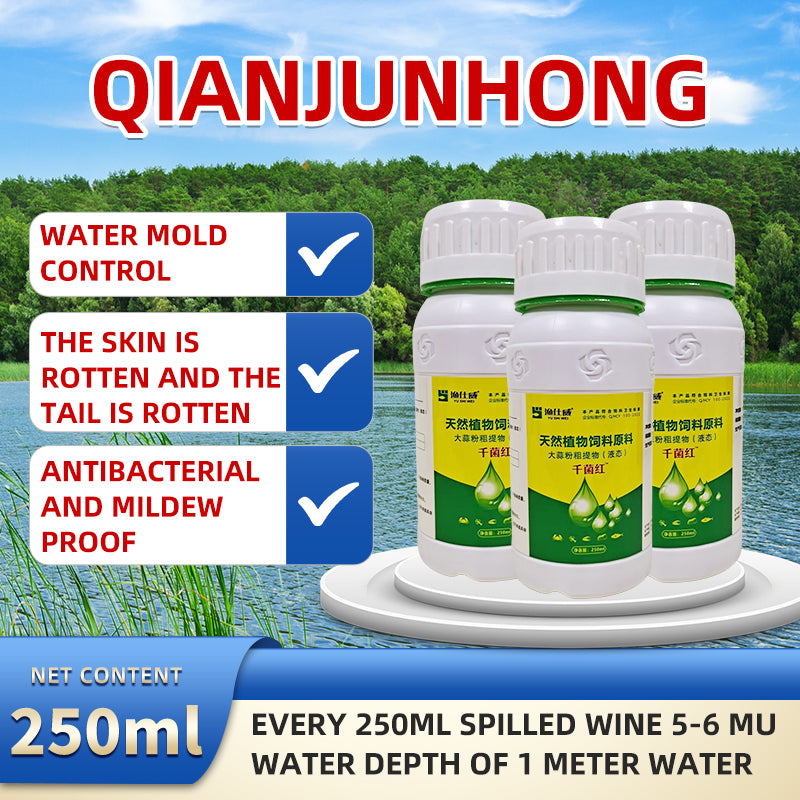 Aquatic Safe-Skin Rot, Gill Rot & Fungal Growth—Safe & Efficient