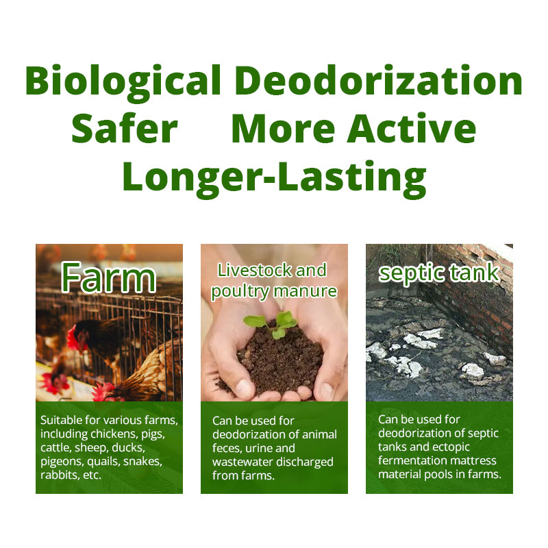 Chenyuan Baijie Poultry Farm Disinfectants