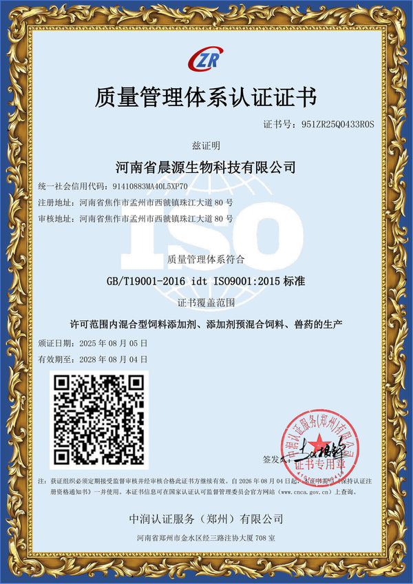 ISO 9001