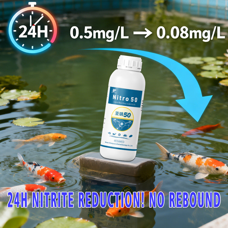 Nitro 50-Nitrite Degradation Feed Additive for Aquaculture