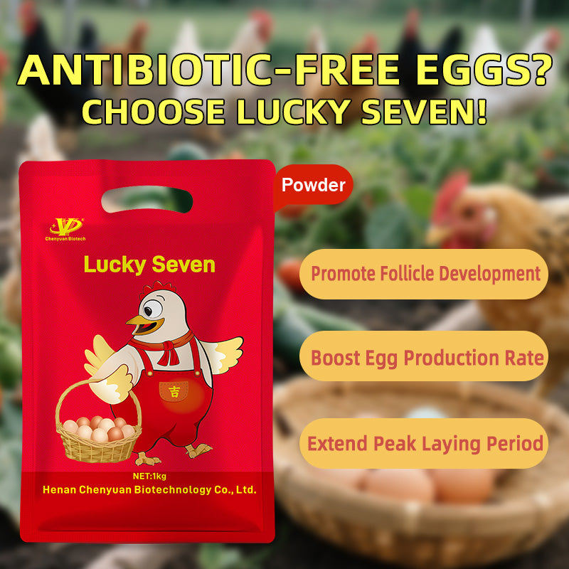 Lucky Seven-Layer Hen Egg Booster