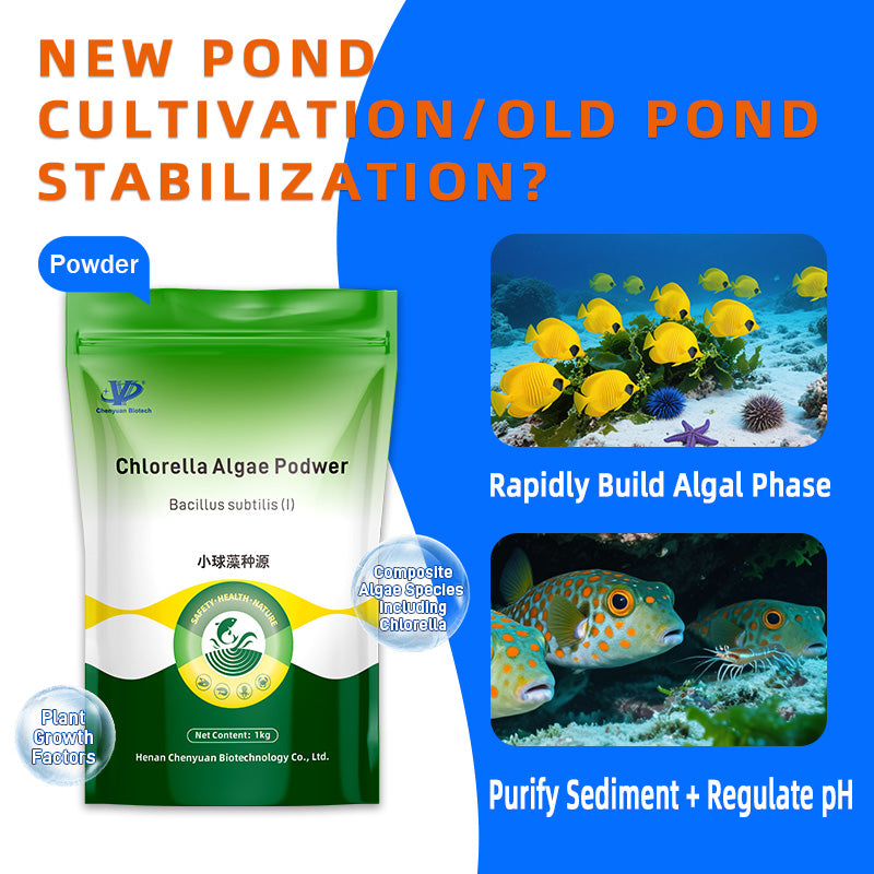 Chlorella Algae Podwer-Rapid Water Fertilization • Dissolved Oxygen Enhancement • Algal Balance
