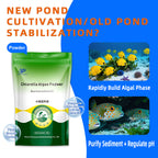 Chlorella Algae Podwer-Rapid Water Fertilization • Dissolved Oxygen Enhancement • Algal Balance