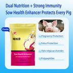 Sow Health Enhancer-Sow Health Enhancer-The Guardian of Sow and Piglet Health