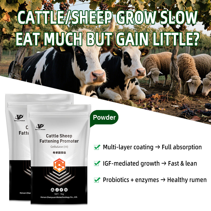 Cattle Sheep Fattening Promoter-Skeletal Development • Rapid Weight Gain • High Meat Yield • Low Feed Conversion Ratio