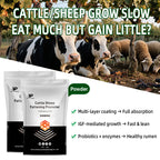 Cattle Sheep Fattening Promoter-Skeletal Development • Rapid Weight Gain • High Meat Yield • Low Feed Conversion Ratio