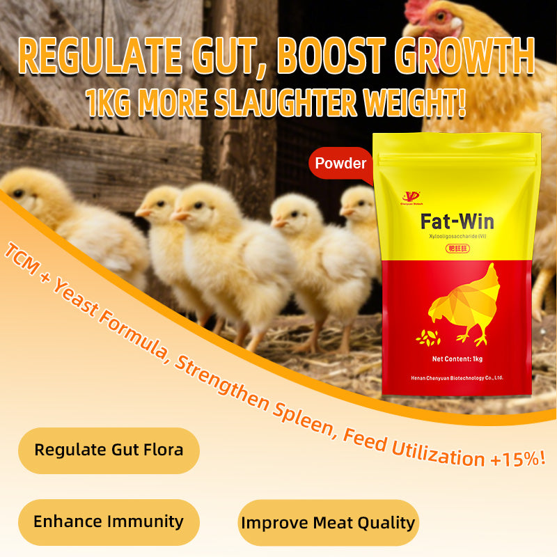 Fat-Win (for Chicken) -Poultry Growth Promoter-broiler growth booster
