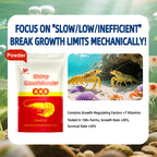 Shrimp Growth Booster-Vitamin Premixed Feed for Shrimp