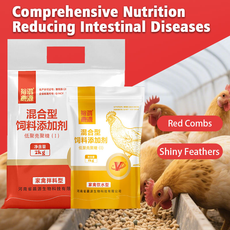 Immune Enhancer for Poutry-Boosting Immune System Maturation and Feed Utilization for Faster Growth in Chickens