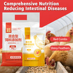 Immune Enhancer for Poutry-Boosting Immune System Maturation and Feed Utilization for Faster Growth in Chickens