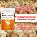 Poultry EnerCal-Premium Calcium Supplement for Poultry