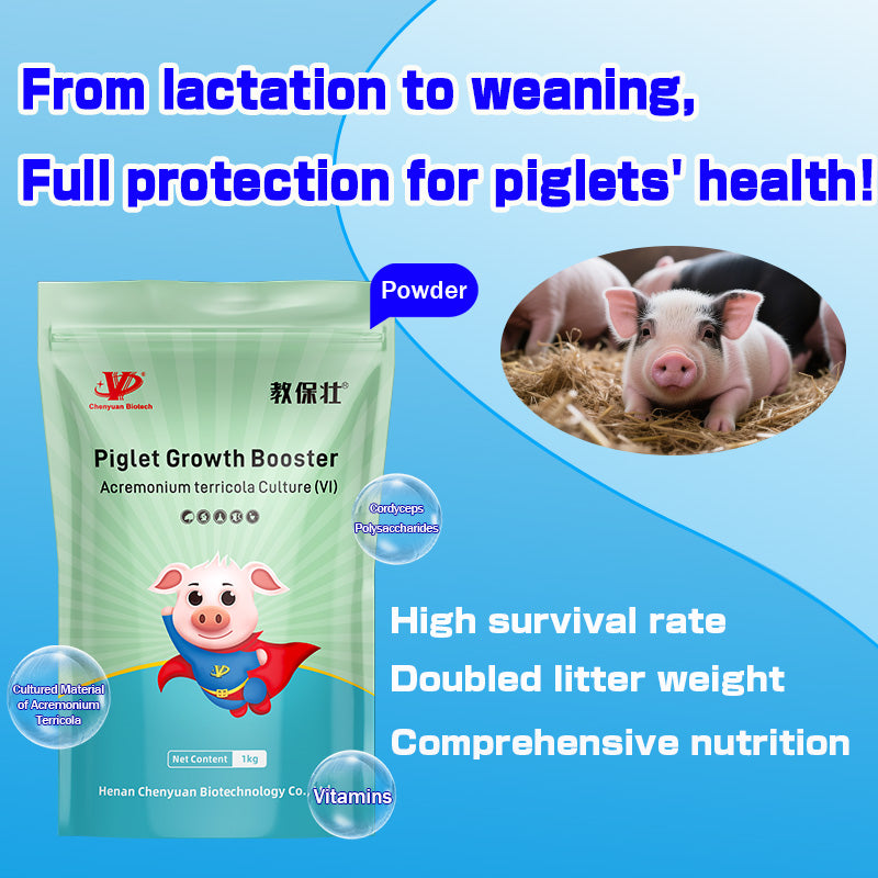 Piglet Growth Booster-Piglet Feed Additive-Improve the survival rate of piglets. Increase the weaning litter weight.
