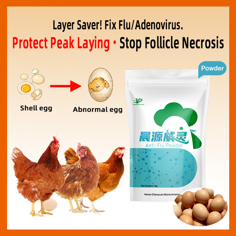 Anti-Flu Powder-Antiviral & Immune Booster for Poultry