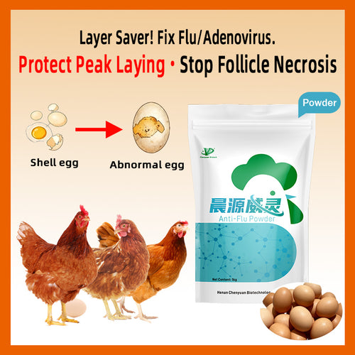 Anti-Flu Powder-Antiviral & Immune Booster for Poultry