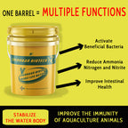 Pond Protect-C-Carbon Supplement / Bacteria Stabilization & Intestinal Improvement
