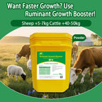 Ruminant Growth Booster-Faster weight gain & early slaughter Enhanced immunity & disease resistance