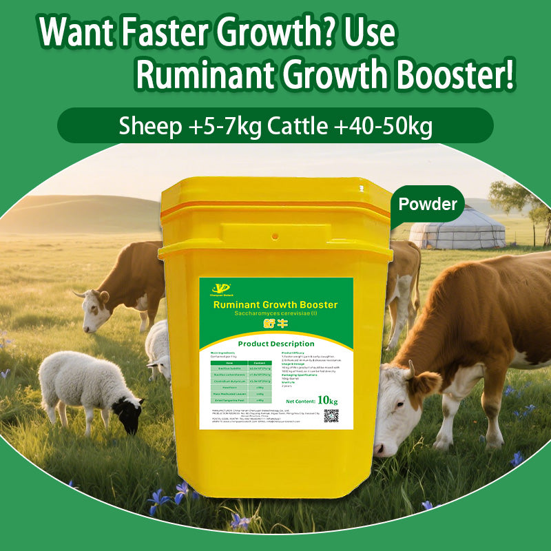 Ruminant Growth Booster-Faster weight gain & early slaughter Enhanced immunity & disease resistance