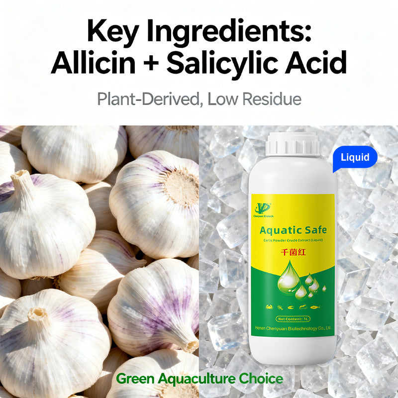 Aquatic Safe-Skin Rot, Gill Rot & Fungal Growth—Safe & Efficient