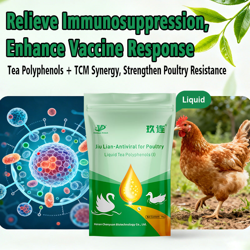 Jiu Lian-Antiviral for Poultry