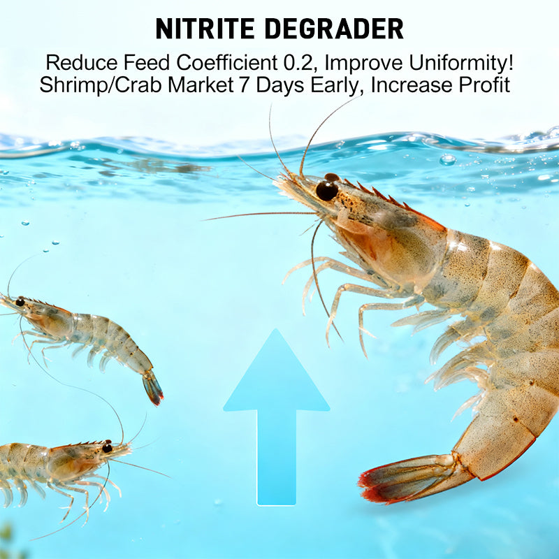 High-end Nanoemulsion Liquid Vitamins