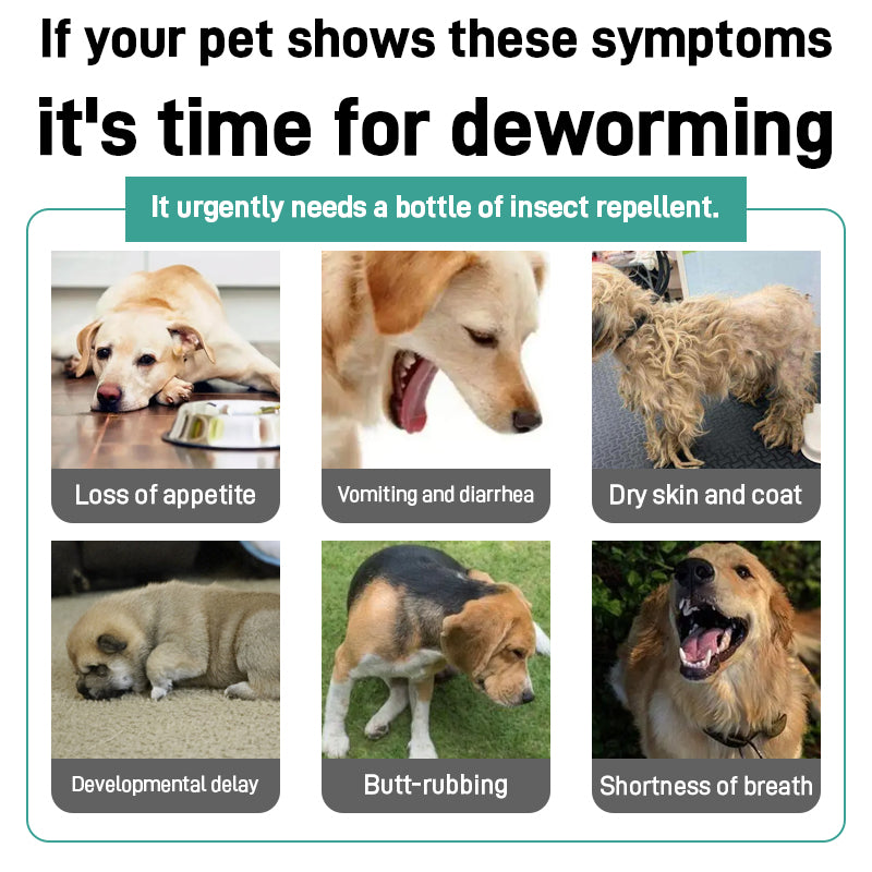 Avermectin Pour-on Solution - Pet Deworming Products
