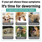 Avermectin Pour-on Solution - Pet Deworming Products