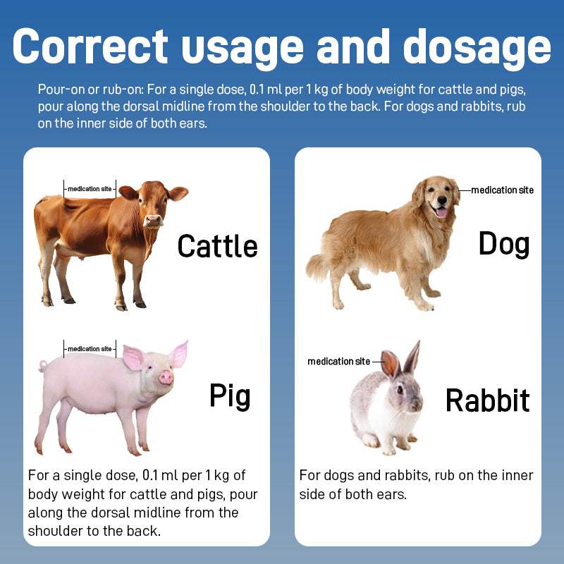 Avermectin Pour-on Solution-Anti-nematode Pharmaceuticals