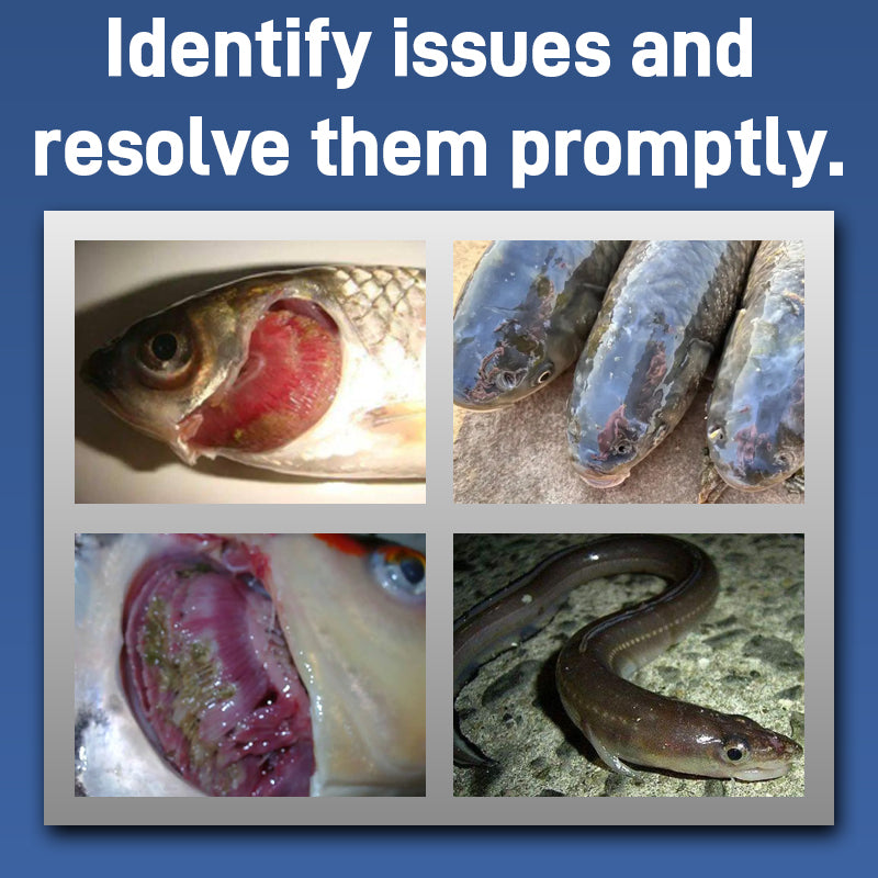 Mebendazole Solution-(for Aquatic Products)-An anti – helminthic pharmaceuticals Veterinary Prescription Pharmaceuticals