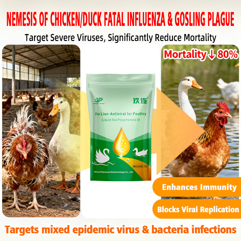 Jiu Lian-Antiviral for Poultry