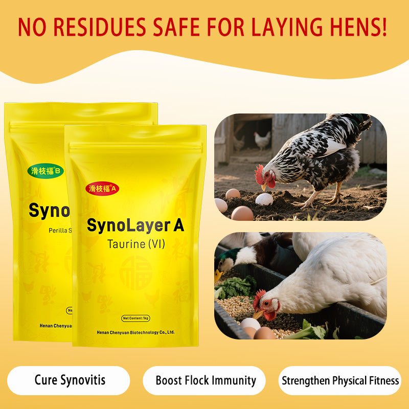 SynoLayer for laying hen
