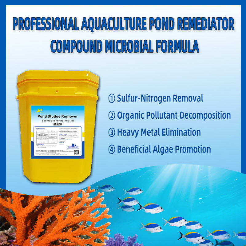 Pond Sludge Remover-Billion-Level Thiobacillus, Hydrogen Sulfide-Oxidizing Bacteria, Mineral Elements and Carriers