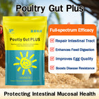 Poutly Gut PLUS-Poultry Gut Health Enhancer