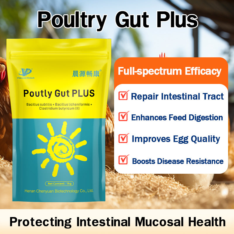 Poutly Gut PLUS-Poultry Gut Health Enhancer