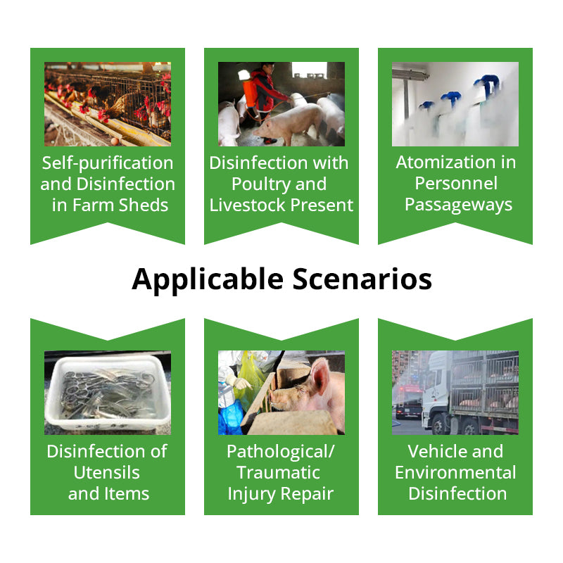 Vet Disinfectant Liquid Poultry Farm Disinfectants