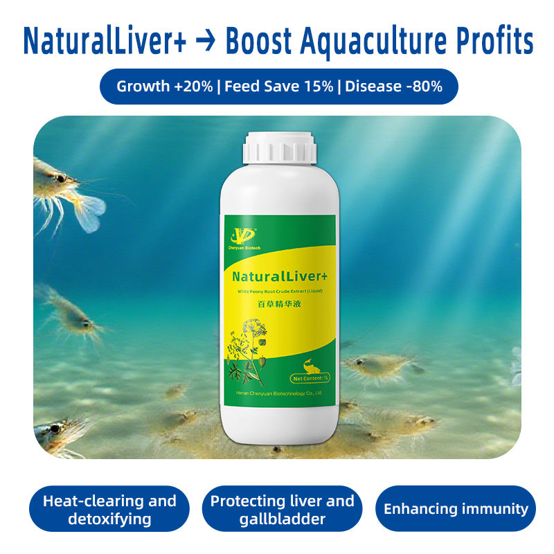 Natural Liver+ - Heat-clearing and detoxifying·Protecting liver and gallbladder·Enhancing immunity