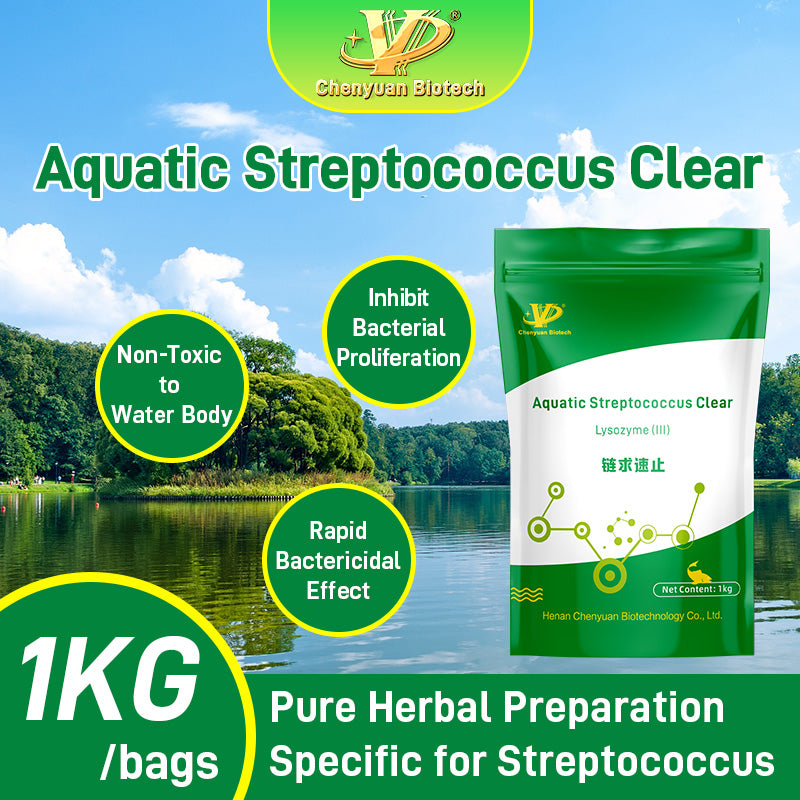 Aquatic Streptococcus Clear-Non-Toxic to Water Body, TCM Extracts, Rapid Bactericidal Effect