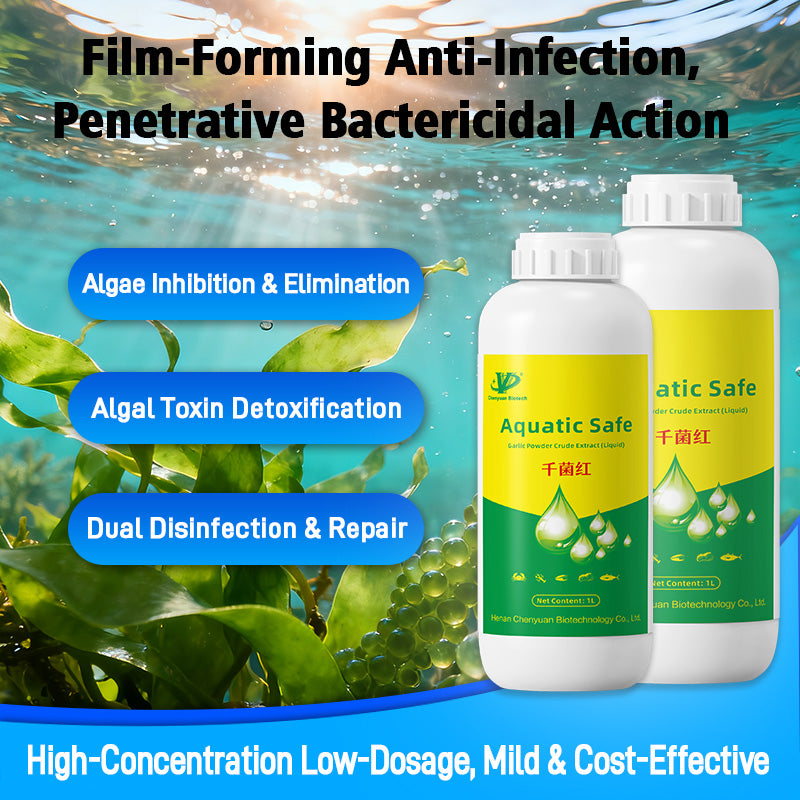 Aquatic Safe-Skin Rot, Gill Rot & Fungal Growth—Safe & Efficient