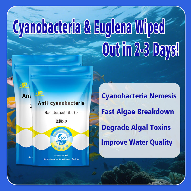 Anti-cyanobacteria