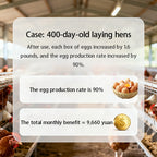 Poutly Gut PLUS-Poultry Gut Health Enhancer