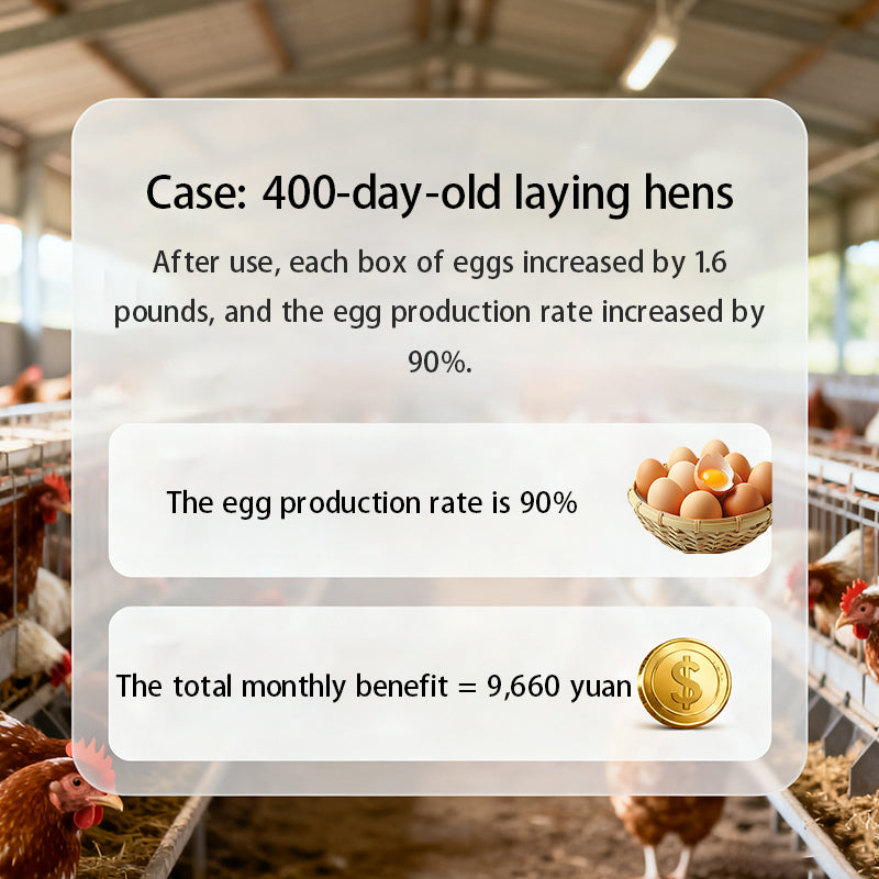 Poutly Gut PLUS-Poultry Gut Health Enhancer