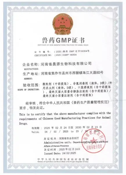 GMP Certification
