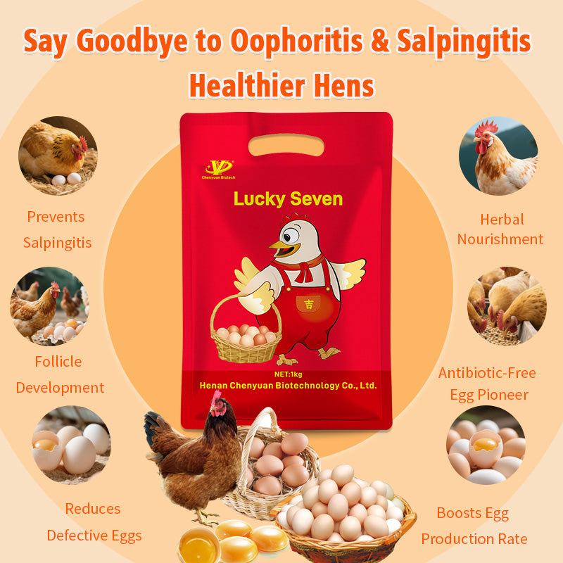 Lucky Seven-Layer Hen Egg Booster