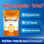 Gut Power-Regulates Intestines · Replenishes Flora · Enhances Growth