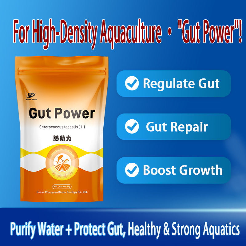 Gut Power-Regulates Intestines · Replenishes Flora · Enhances Growth