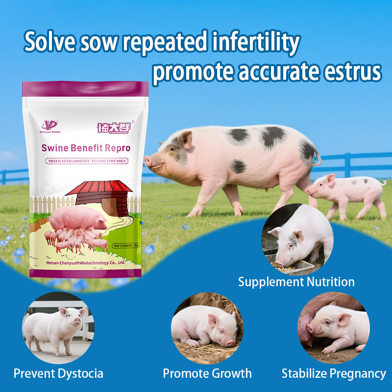Swine Benefit Repro-Herbal Health Additive for Sows. Increase sow conception rate, Enhance piglet survival rate.